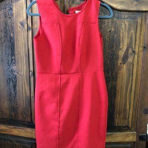 Banana Republic Size 2P, lined dress